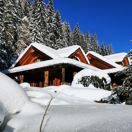 Chalet Caprea Bad Kleinkirchheim Εξωτερικό φωτογραφία