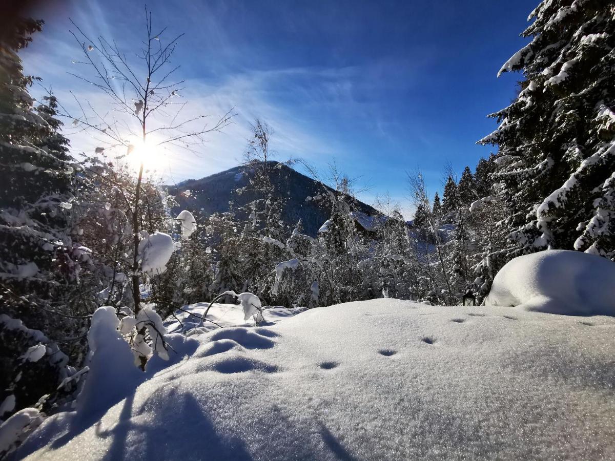 Chalet Caprea Bad Kleinkirchheim Εξωτερικό φωτογραφία