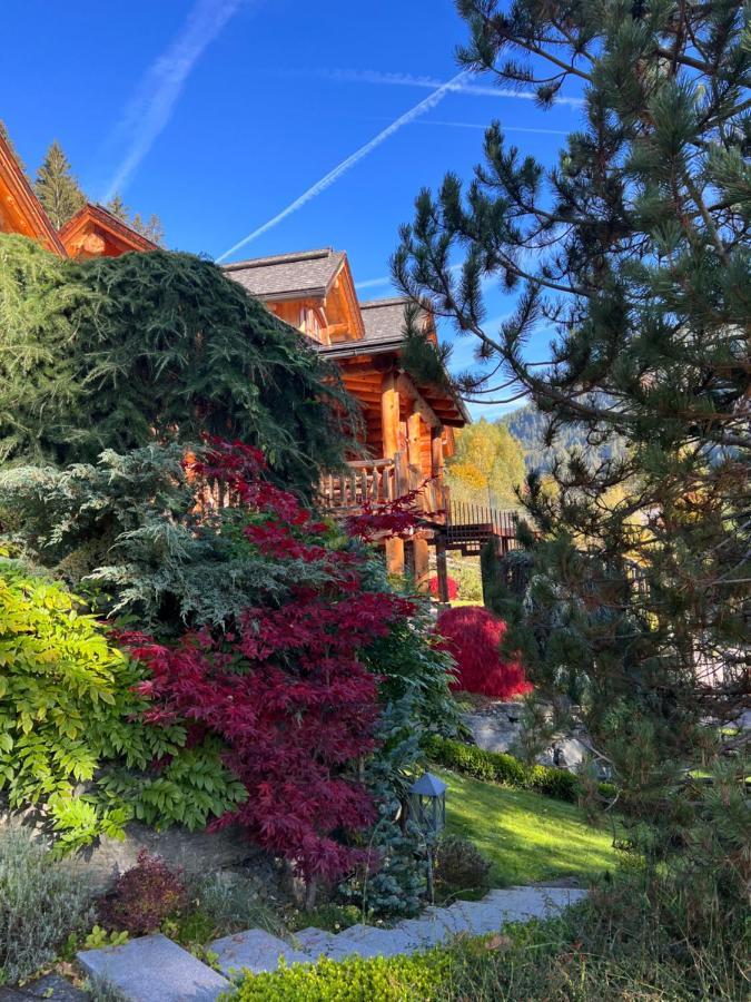 Chalet Caprea Bad Kleinkirchheim Εξωτερικό φωτογραφία