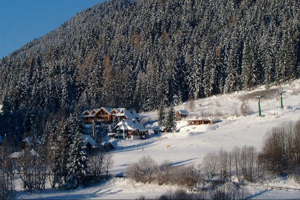 Chalet Caprea Bad Kleinkirchheim Εξωτερικό φωτογραφία
